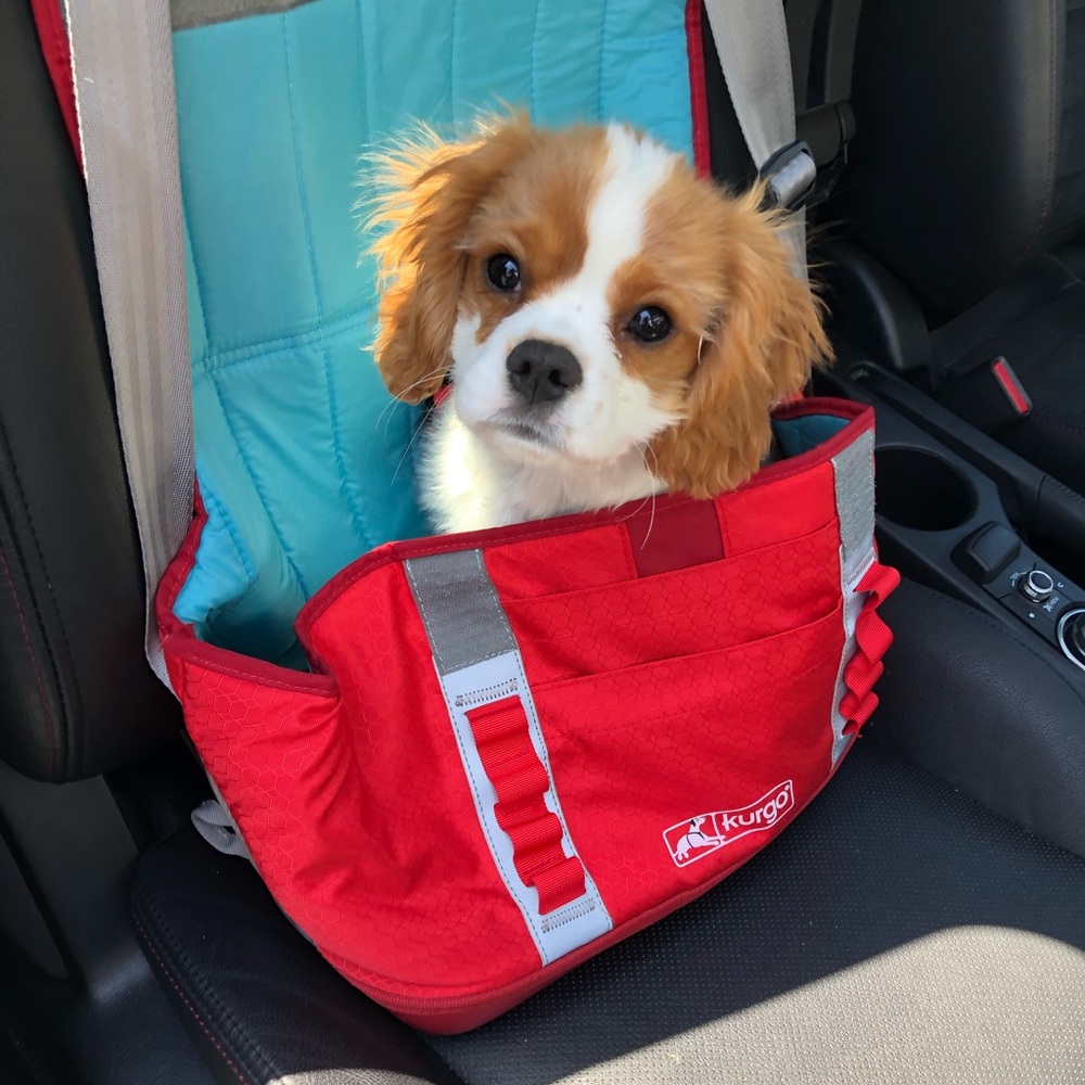 Kurgo K-9 Courier Cargo Pet Carrier Booster Seat